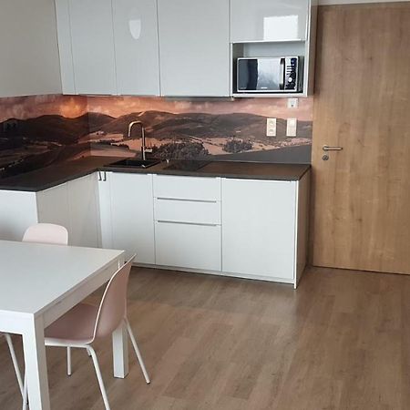 Apartmany Dolní Morava Екстериор снимка